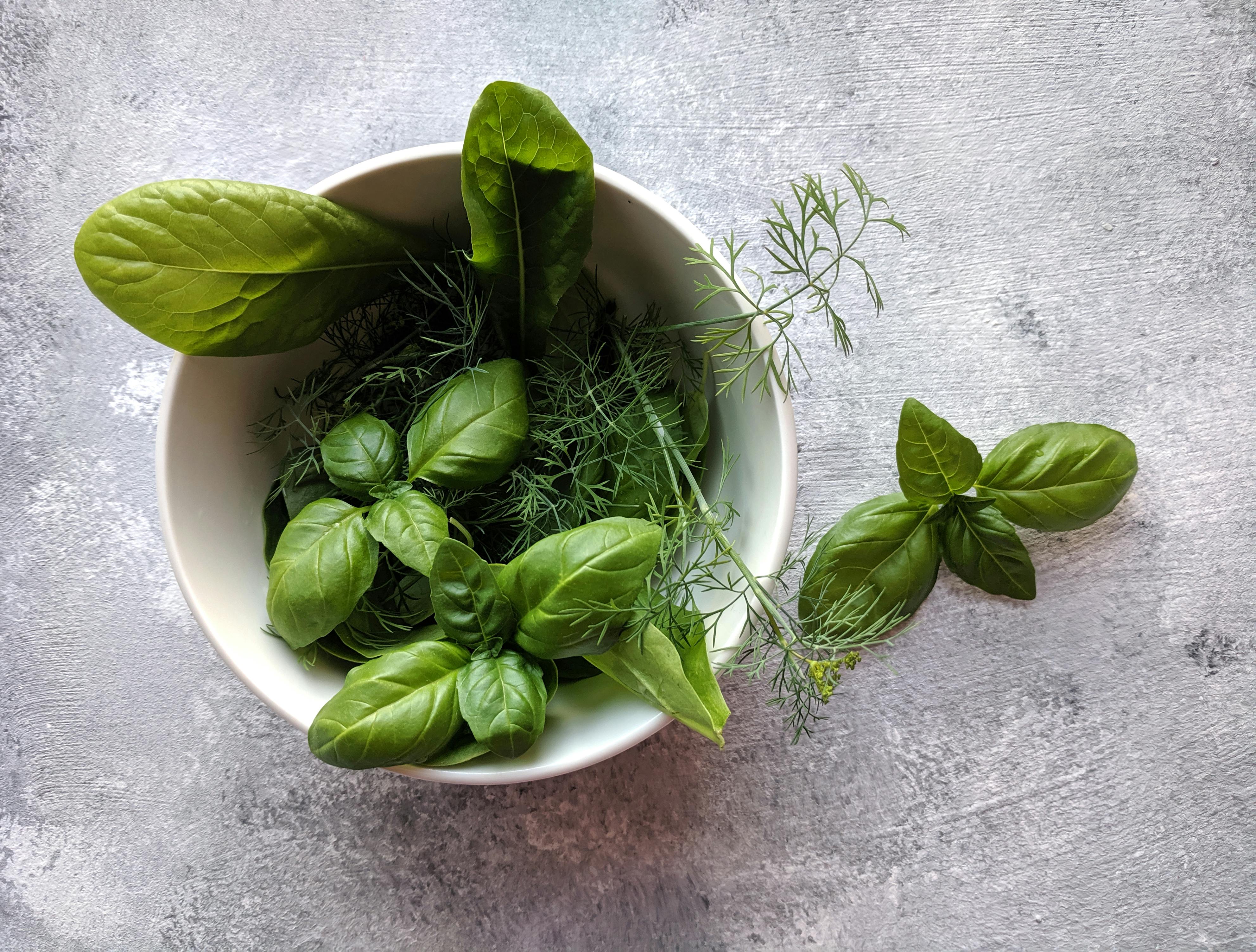 Basil Basil